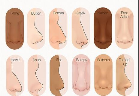 types de nez